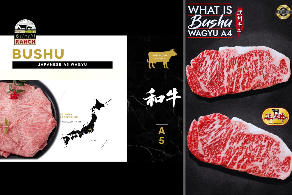 [BOTTEGA ZELACHI RANCH] THỊT BÒ WAGYU THƯỢNG HẠNG TỪ SHIGA VÀ SAITAMA